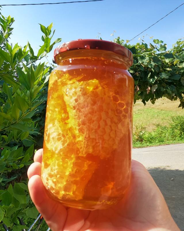Tegla meda sa saćem